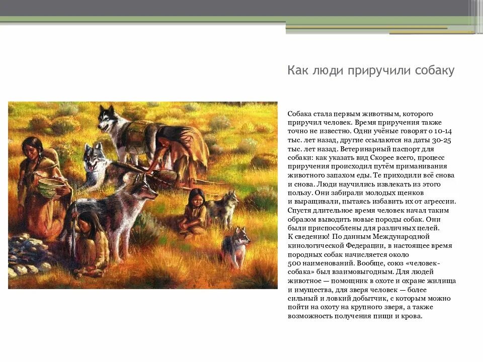 Как приручили собаку древние люди. Как человек приручил собаку. Как древние люди при учили собаку. Древний человек приручает собаку.