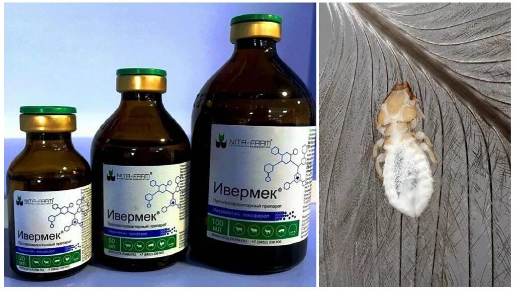 Ивермек для птиц. Ивермек or для птицы. Ивермек 1% (20 мл). Ивермек or. Ивермек 500 мл.