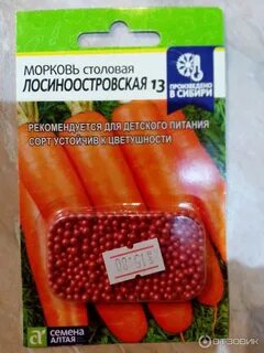 Семена алтая посадка