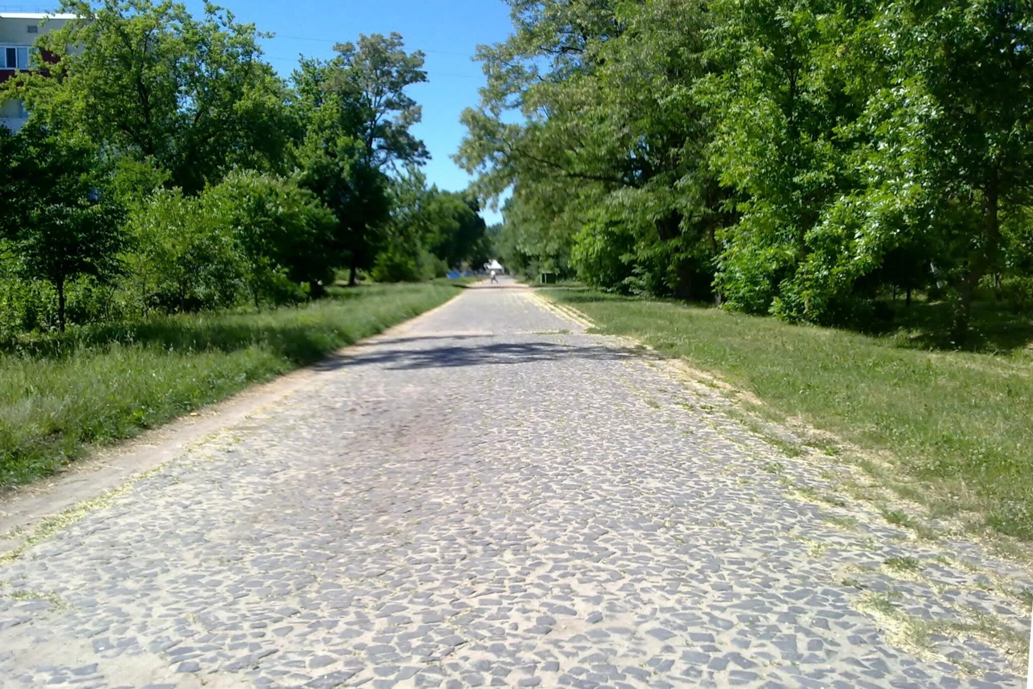 Дарогі вечныя дарогі. Дорога. Трилинка. Дарога верхний тагиркент. Дорога в степи.