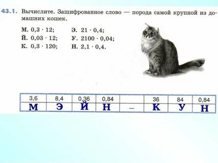 Слова породы кошек