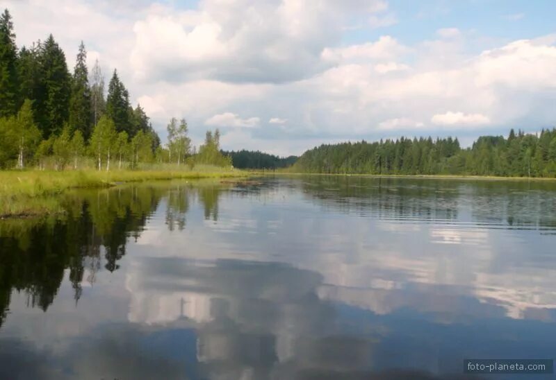 Посёлок огоньки ленинградская область. Зелёный огонёк лагерь луга. Посёлок огоньки ленинградская область. Дол зеленый огонек ленинградская область. Огоньки ленинградская область.