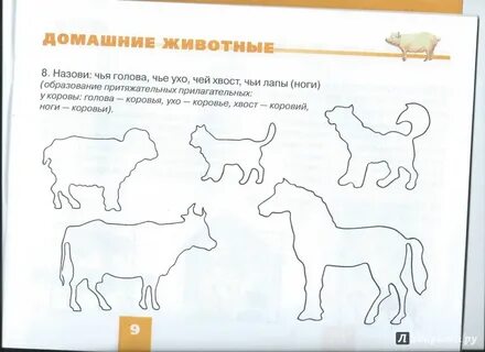 Логопедическое занятие в средней группе дикие животные