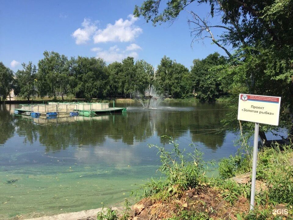 Корольков сад Саратов. Саратов Корольков сад парк. Агротуристический парк Корольков сад Саратов. Агропарк «Корольков сад». Корольков сад саратов купить