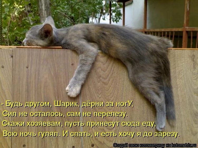 Устанешь идти