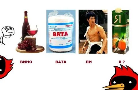 Вата я не виновата