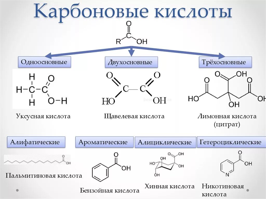 Число атомов углерода в карбоновой кислоте