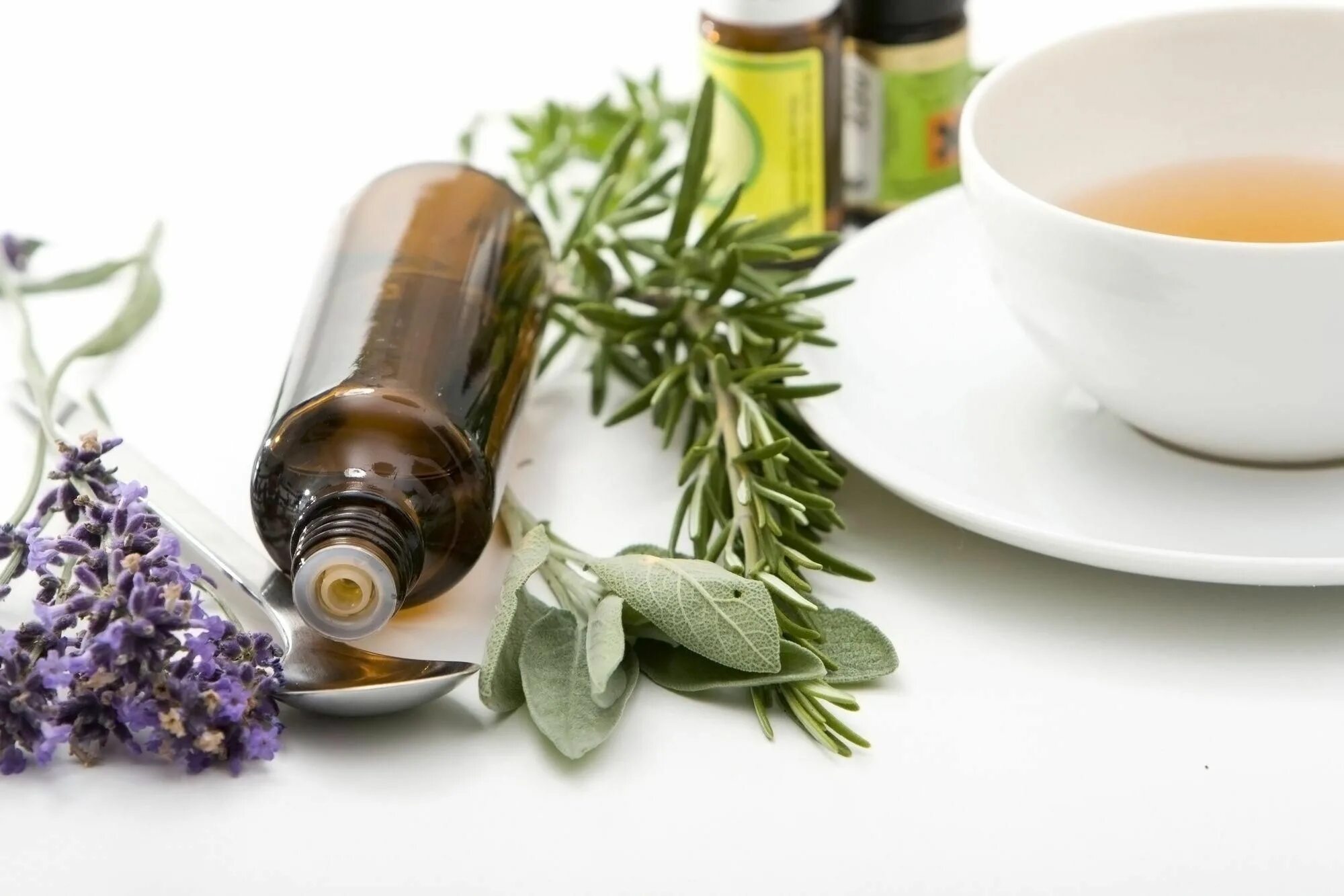 Ингаляция полынью. Полынь и мята. Лекарственные растения для ингаляций. Ингаляция полынью. Полынь горькая отвар трава.