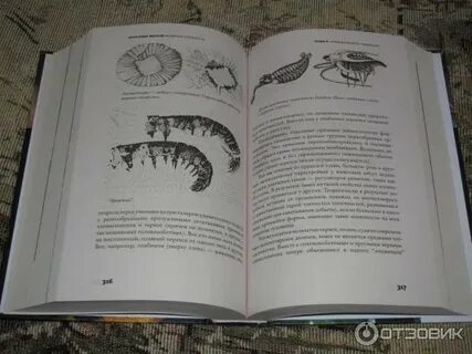 Читать книгу рождение