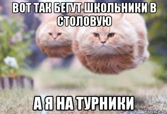 Тилька школьник сбегает
