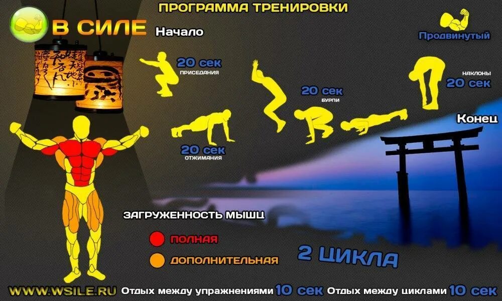 Программа тренировок упражнения. Программа тренировок. тренировочная программа. кроссфит программа тренировок для начинающих. программа тренировок для мужчин.
