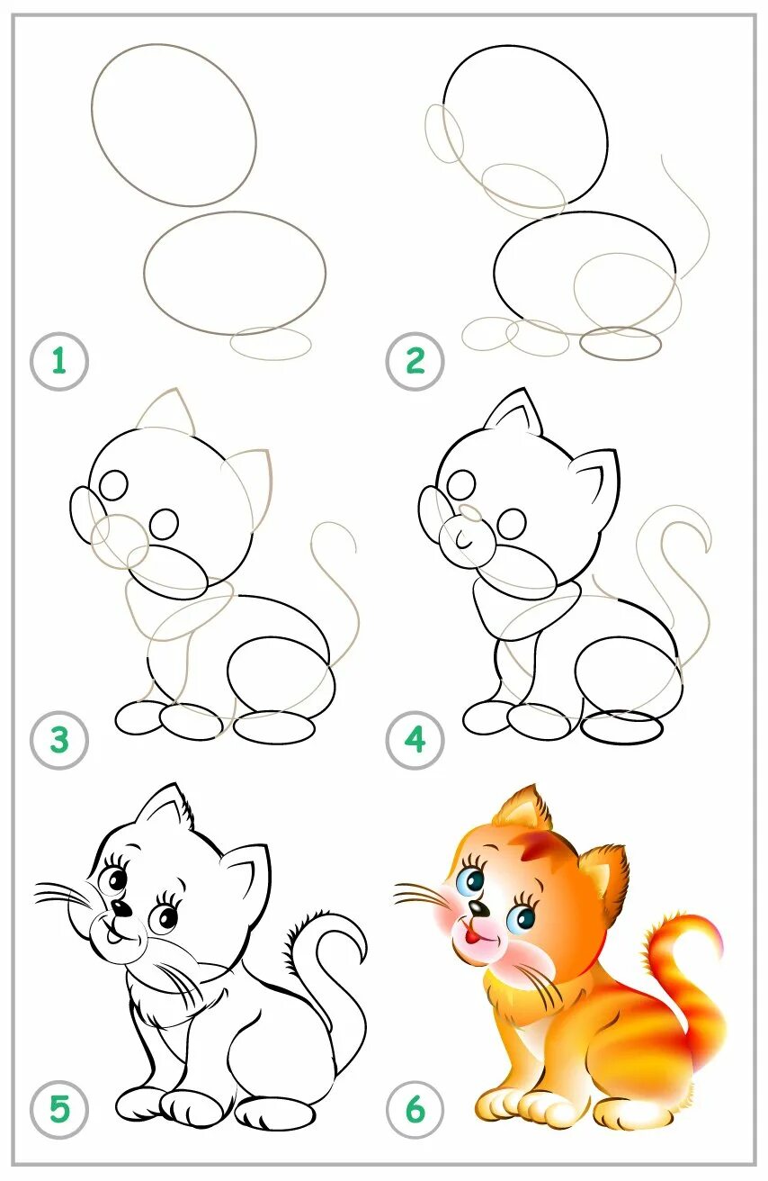 Рисовать поэтапно котиков. Алгоритм рисования кота для детей. Последовательное рисование животных. Схема рисования котенка для детей. Поэтапный рисунок котенка для детей.
