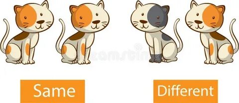 Same similar