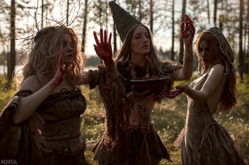 Хозяйки леса выбор. Ведьмак 3 ведьмы хозяйки леса. Хозяйки леса выбор. Ведьмак 3 ведьмы с кривоуховых топей гобелен. Хозяйки леса выбор.