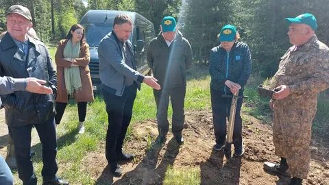 Челябинское лесничество