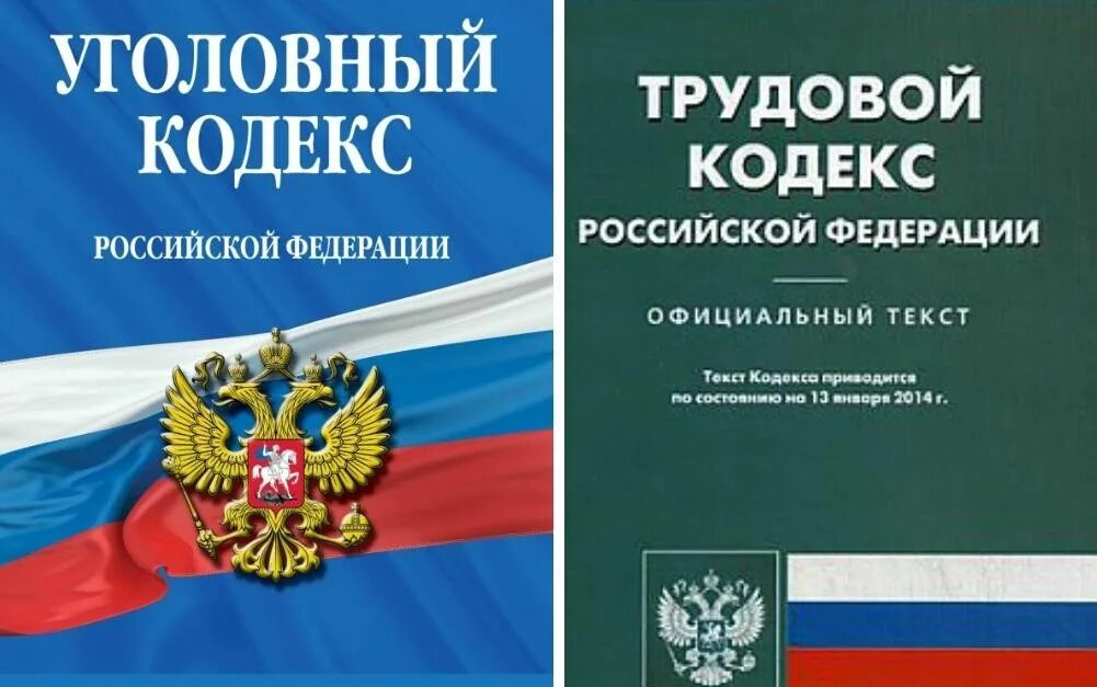 Тк рф на производственном. Трудовой кодекс Российской Федерации книга 2022. Трудовой кодекс Российской Федерации книга 2020. ТК РФ. Трудовой кодекс РФ картинки.