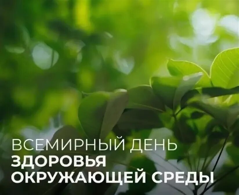 Всемирный день здоровья окружающей среды. Здоровье нашей планеты в наших руках. Всемирный день окружающей среды. Живая земля. Всемирный день здоровья окружающей среды.