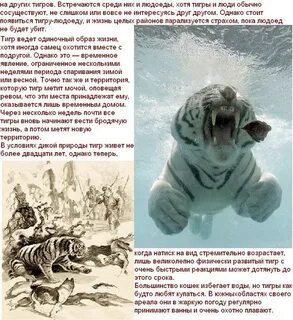 Сказочное поэтическое описание тигра