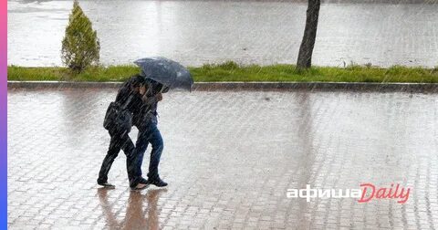 Несмотря на сильный дождь