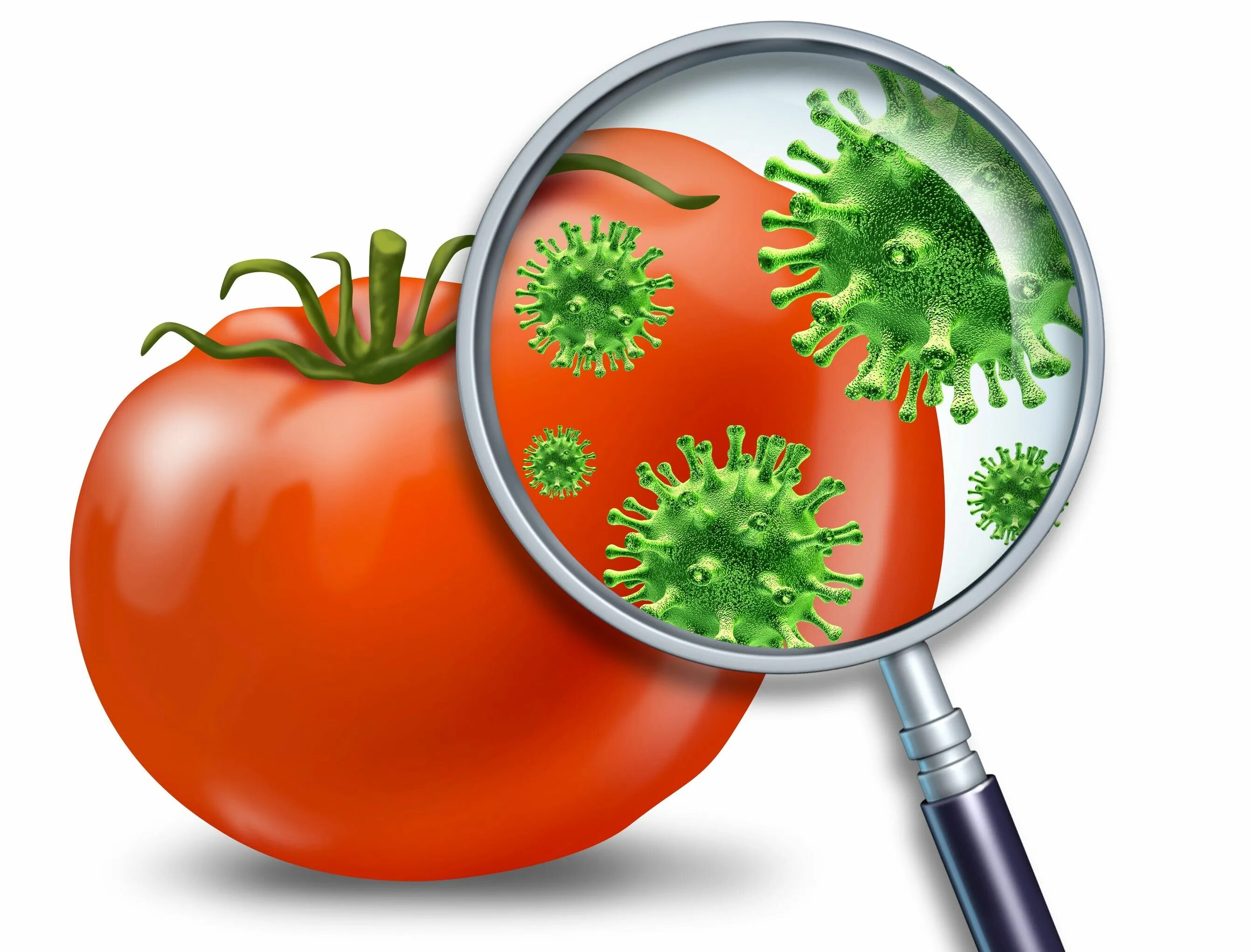 Заболевание овощей и фруктов. Пищевые токсикоинфекции микробы. Острые кишечные инфекции. Бактерии в пищевых продуктах. Микробы на овощах.