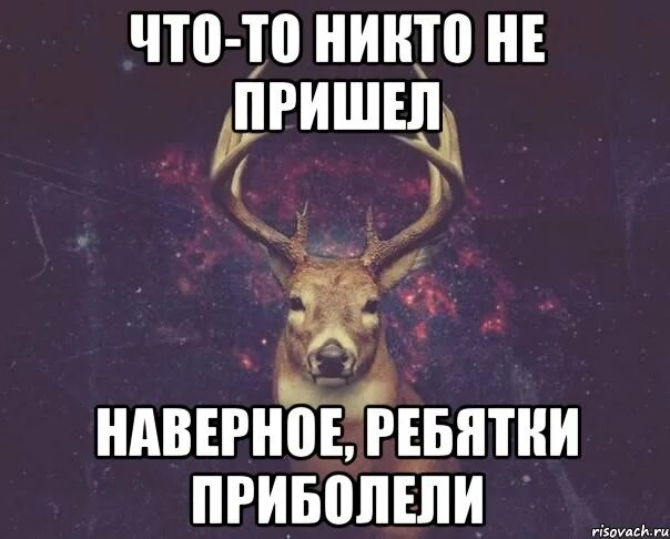 Никто не пришел на сходку. Олень Мем. Никто не пришел. Когда никто не пришел. Миша олень.