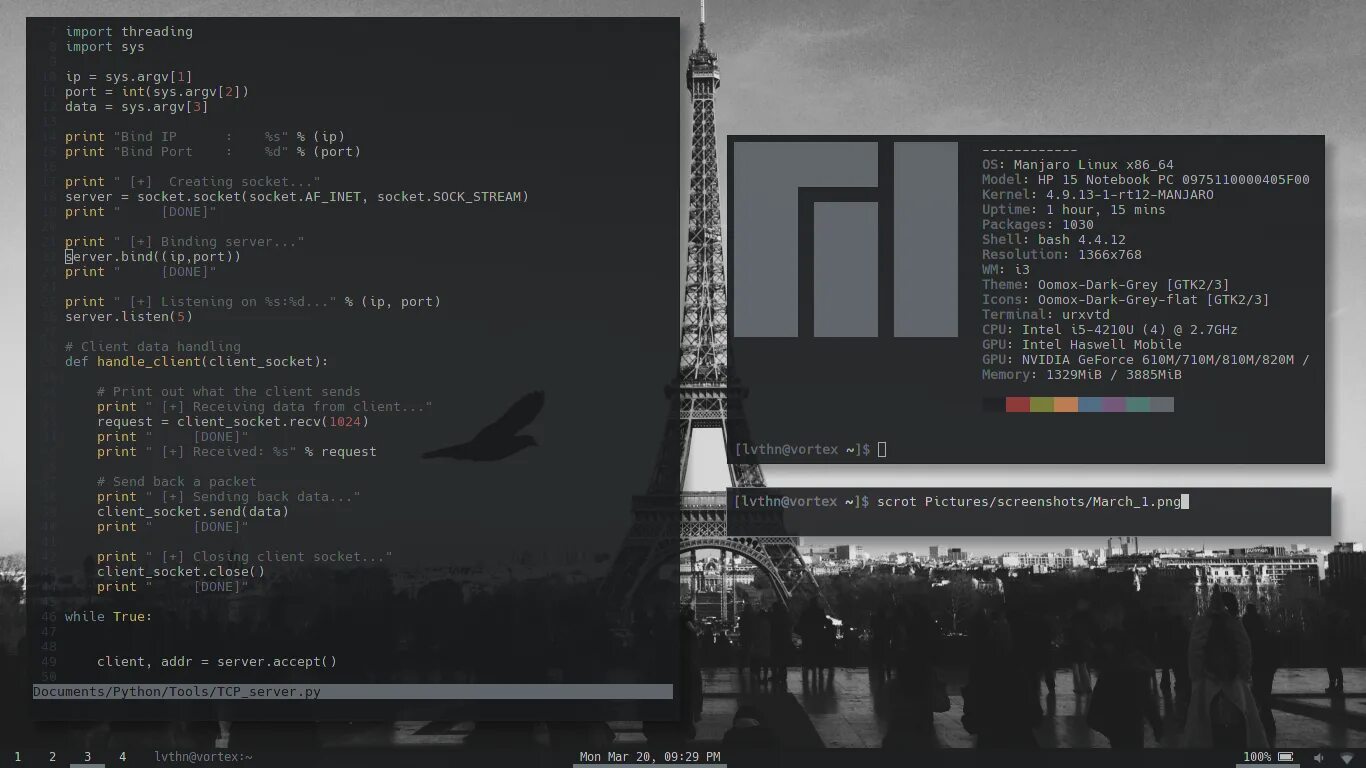 Int sys