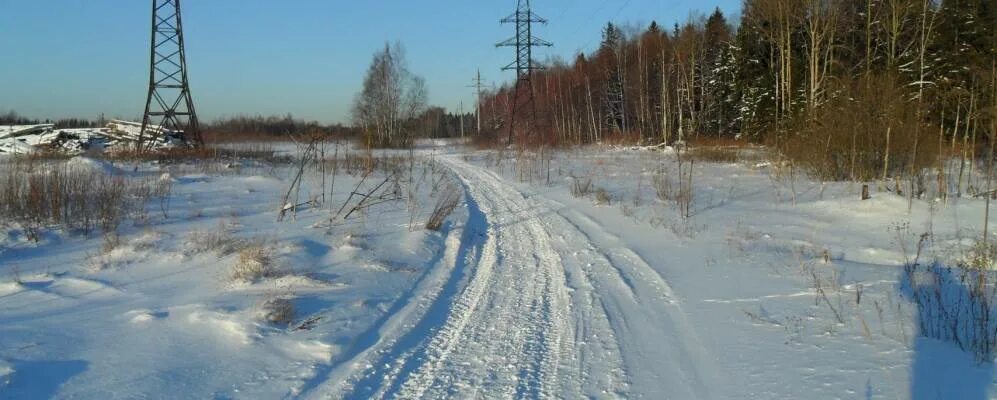 Лупаново. Прогноз погоды в лупаново на неделю. Прогноз погоды в лупаново на неделю. Прогноз погоды в лупаново на неделю. Тис гранат лупаново.