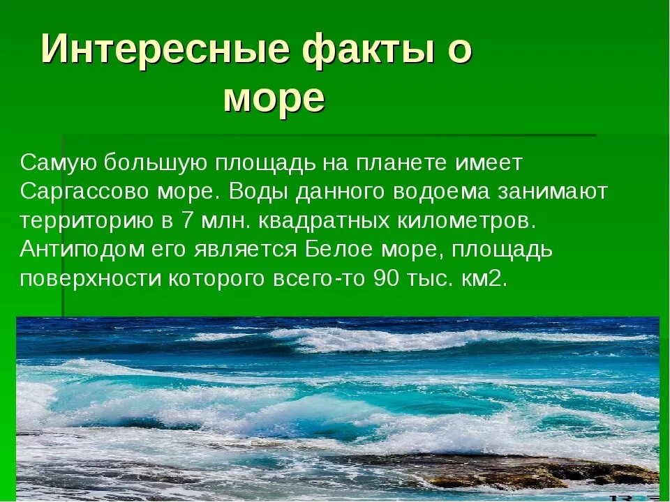 Море презентация для детей. Интересные факты о море. Интересные факты о морях и океанах. Интересные сведения о морях. Всемирный день моря.