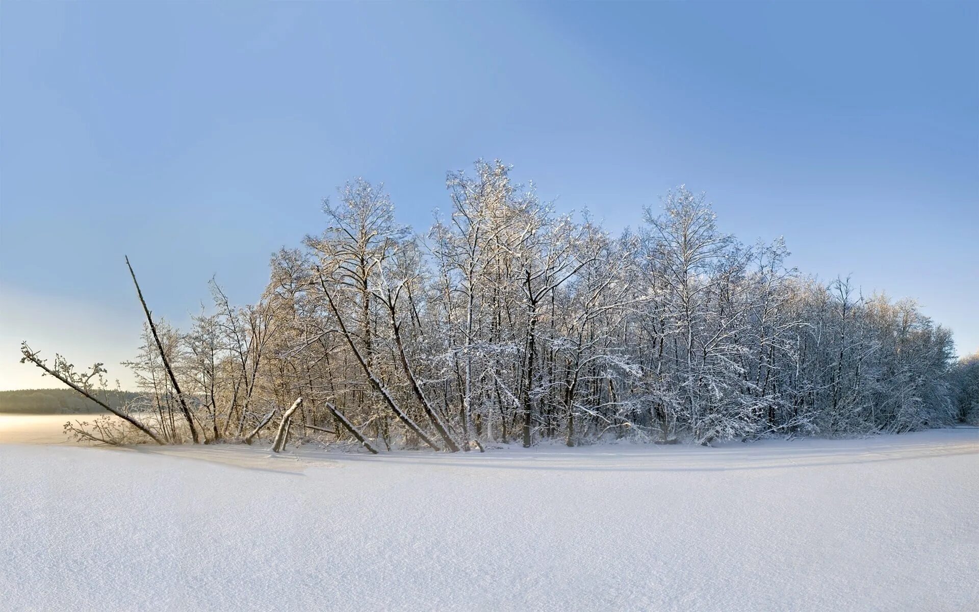 Оленегорске зимние пейзажи. Лесополоса зимой. Забайкальский край зимний пейзаж. Хубар зимний пейзаж.