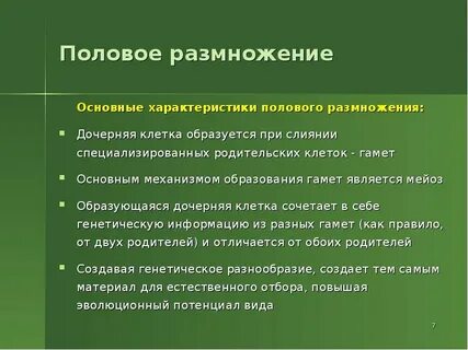 Главная особенность полового размножения