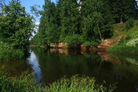 Прогноз луга