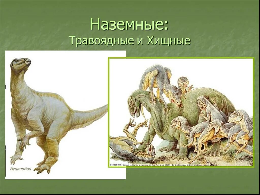 Древние пресмыкающиеся сообщение. Древние пресмыкающиеся, древние рептилии. древние травоядные динозавры. динозавры плотоядные и травоядные. динозавры хищники и травоядные.