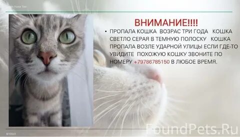 Пропали полоски
