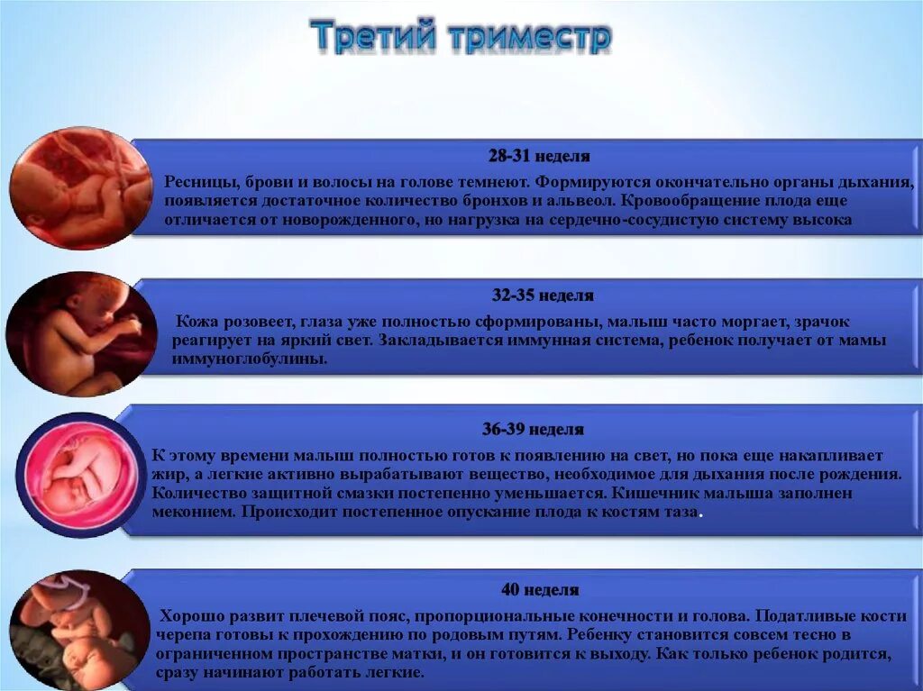 3 недели содержание