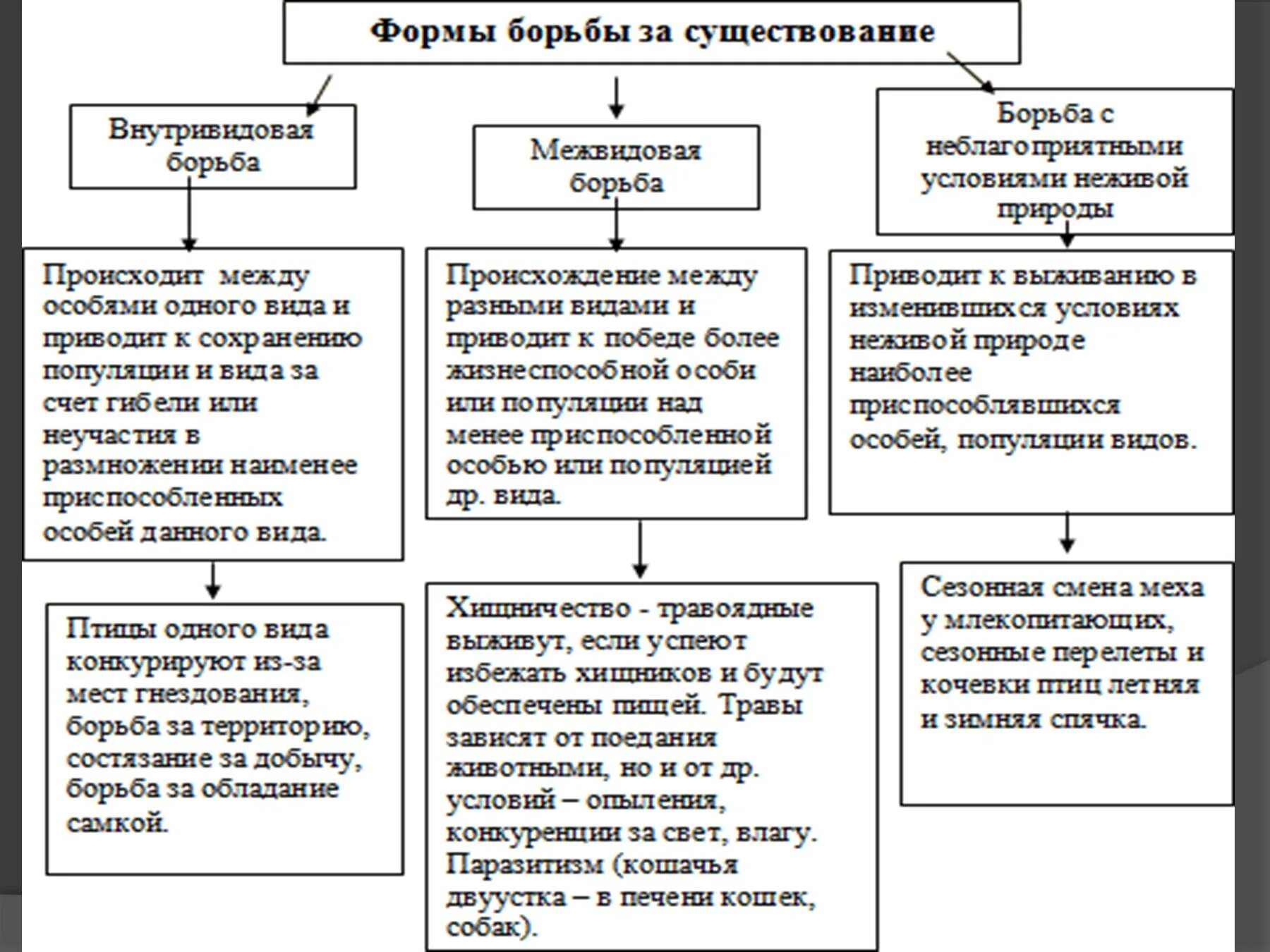 Таблица естественный отбор 9 класс биология. Формы борьбы за существование схема. Борьба за существование биология 11 класс таблица. Таблица внутривидовая борьба межвидовая.