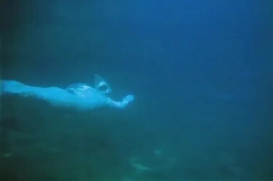 педро зурита человек амфибия. сальватор человек амфибия. человек амфибия 1961. человек-амфибия фильм 1961. человек амфибия 2023.