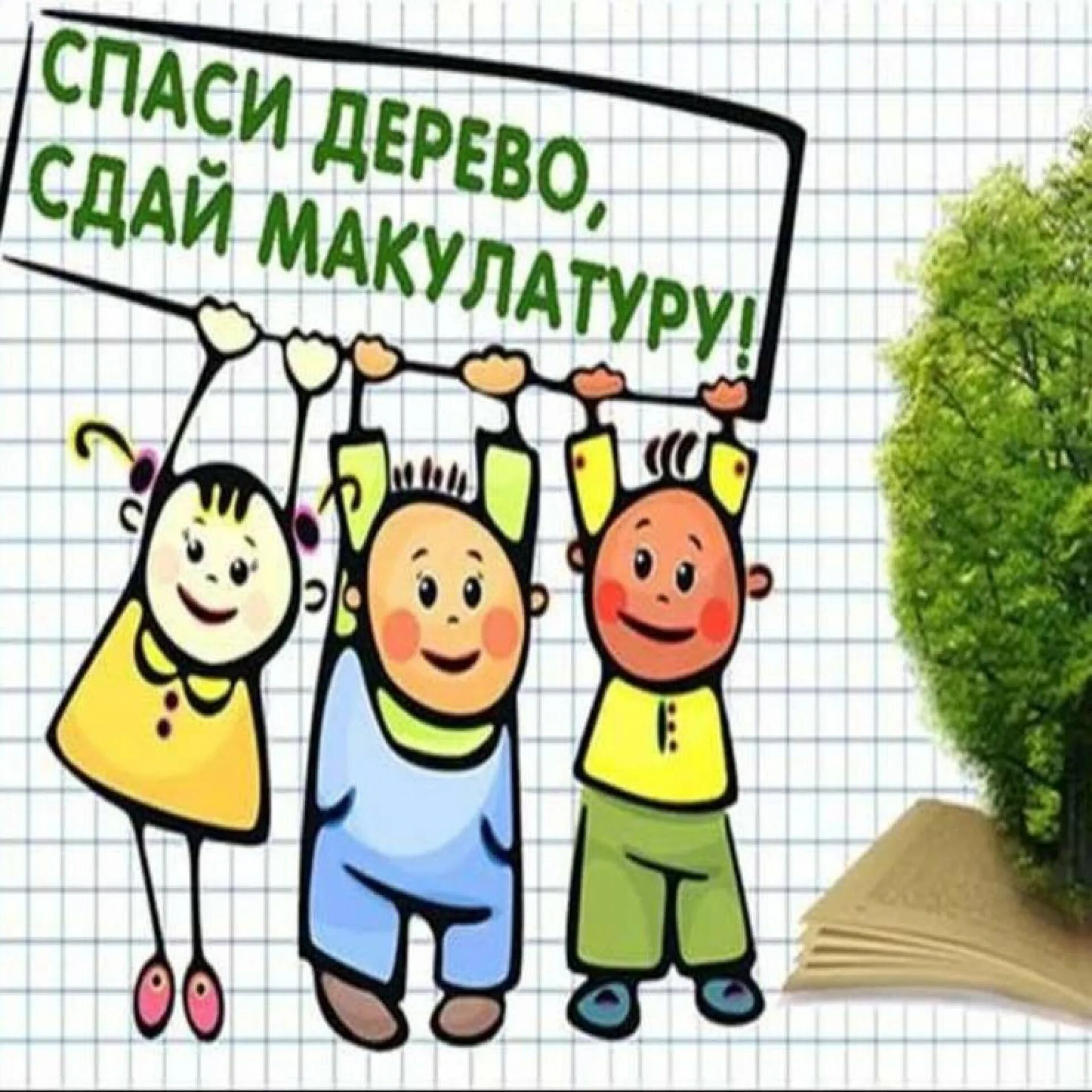 Спасем деревья сбор макулатуры. Что такое макулатура в школе. Макулатура дерево. Сбор бумаги и макулатуры. Сбор макулатуры.