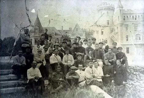 Петровские ели