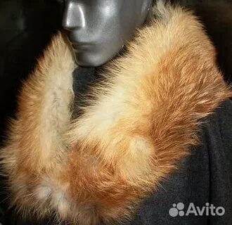 Авито лисички