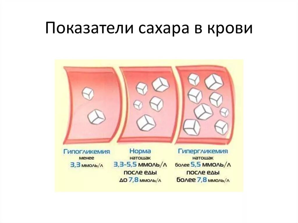 Низкий сахар у женщин. Норма сахара в крови картинки. норма сахара в крови рисунок. гипергликемия показатели сахара в крови. сахар крови е 2.