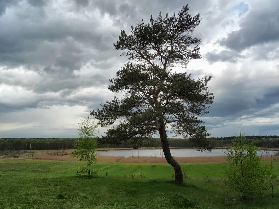 Александров через каринское