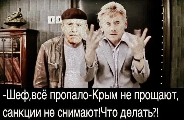 Шеф все пропало. -Все пропало шеф! Всё пропало!. Шеф усё пропало гипс снимают клиент уезжает. Шеф усе пропало. Шеф все пропало клиент