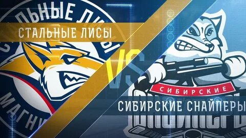 Сибирские снайперы стальные лисы
