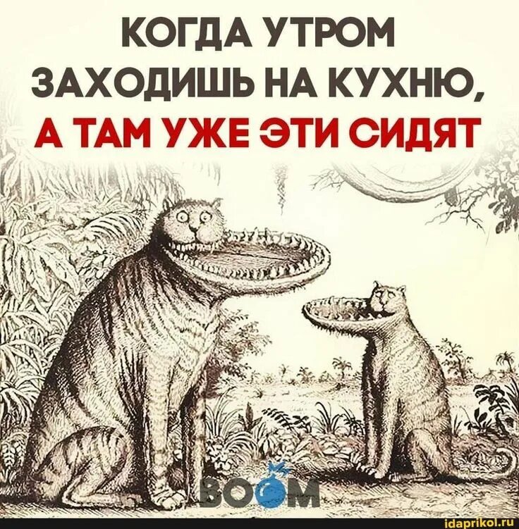 Сидела заходи. Заходишь на кухню а там эти сидят. Приходишь на кухню а там эти сидят. Когда утром заходишь на кухню а там уже эти сидят. Прихожу на кухню а там эти уже сидят.