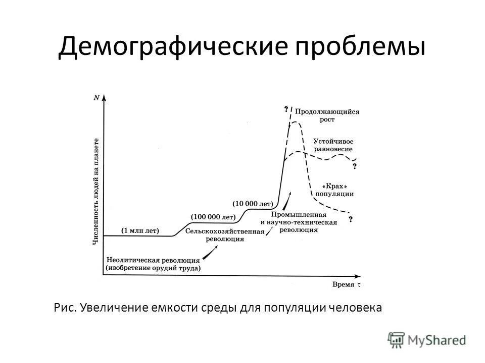 Какое значение популяции имеет емкость среды