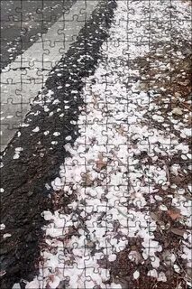 Фото опади