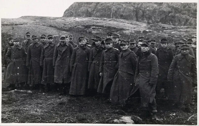 Октябрь ноябрь 1944. Петсамо-киркенесская операция 1944. петсамо-киркенесская операция октябрь 1944. петсамо-киркенесская операция (октябрь-ноябрь 1944 г.). цель петсамо киркенесской операции.