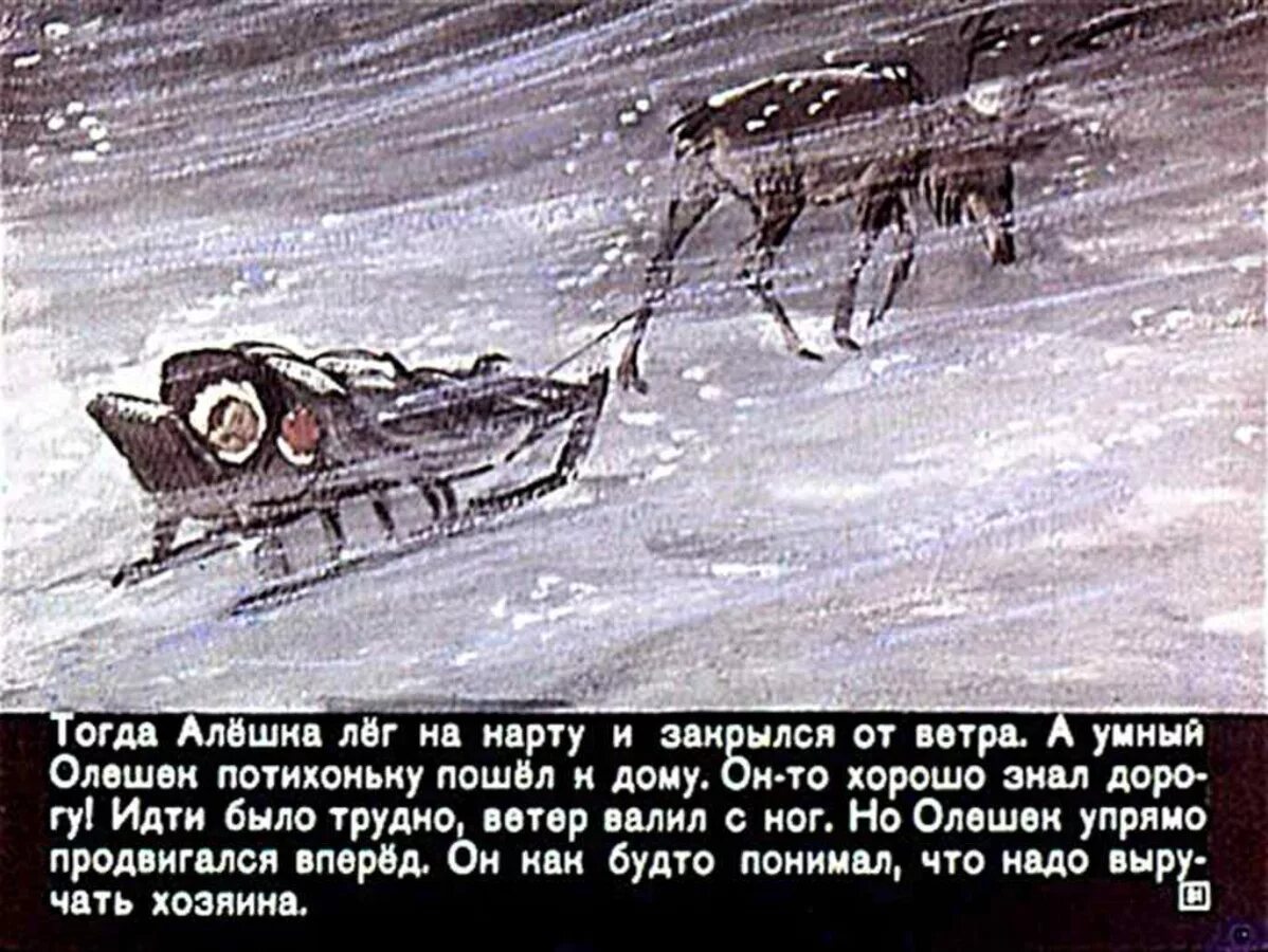 Песня алешка алешка ну. Песня алешка алешка ну. Прощай алешка. Песня алёшка руки вверх. Песня алешка алешка ну.