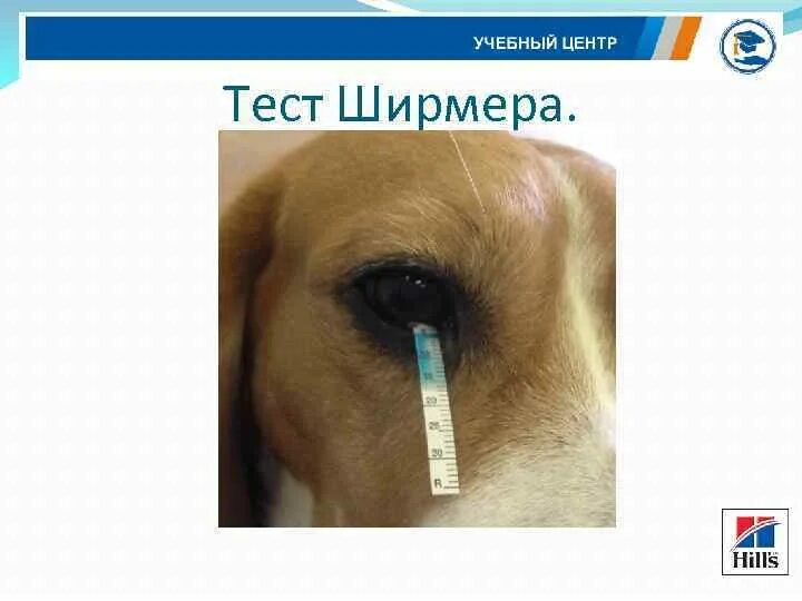 Нормы теста ширмера. Проба ширмера в офтальмологии. тест ширмера в офтальмологии.