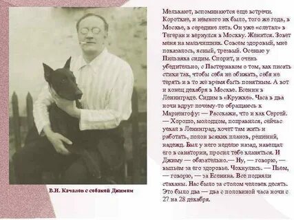 Собаки качалова стих